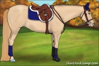 Horse Color:Gold Champagne 
