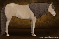 Horse Color:Classic Champagne  Brindle