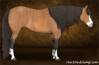 Horse Color:Bay Splash Brindle