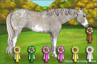 Horse Color:Silver Grullo Ice Splash Frame Rabicano