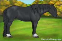 Horse Color:Brown Chinchilla 