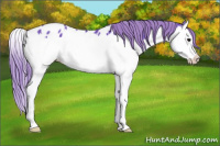 Horse Color:Watercolor Black Splash Near Leopard 