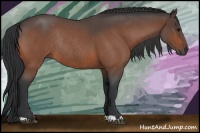 Horse Color:Bay Roan Rabicano