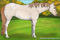 Horse Color:Red Dun Ice Roan