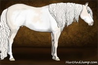 Horse Color:Cremello Roan Frame 