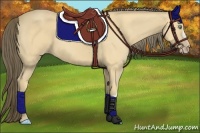 Horse Color:Amber Cream Champagne 