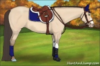 Horse Color:Amber Champagne Dun 