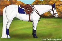 Horse Color:Cremello 