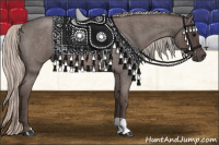 Horse Color:Silver Brown Roan 