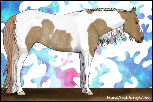 Horse Color: Chocolate Palomino Dun Tobiano Rabicano 