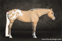 Horse Color:Silver Buckskin Sabino Appaloosa 
