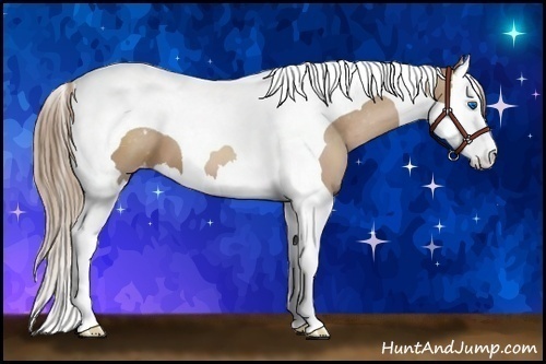 Horse Color: Black Pearl Sabino Splash Tobiano Blanket 