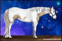 Horse Color:Black Pearl Sabino Splash Tobiano Appaloosa 