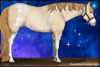 Horse Color:White Spotted Red Dun Pearl 