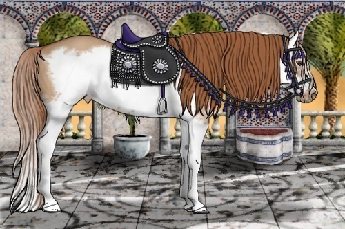 Horse Color: Red Dun Sabino Splash Frame 