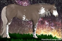 Horse Color:Silver Black Sabino 