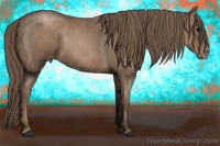 Horse Color:Black Pearl Splash Rabicano  Brindle