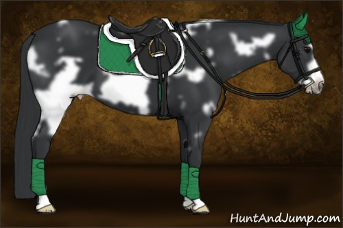 Horse Color:White Spotted Black Frame 