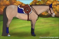 Horse Color:Amber Champagne 