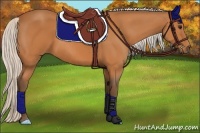 Horse Color:Silver Bay 