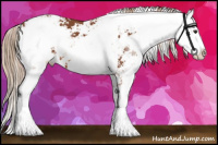 Horse Color:Liver Chestnut Sabino