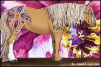 Horse Color:Palomino