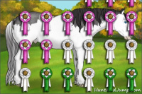 Horse Color:Smoky Blue Roan Splash Rabicano