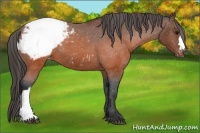 Horse Color:Brown Snowcap 