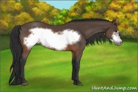 Horse Color:Brown Frame 