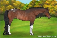 Horse Color:Brown Varnish Rabicano 