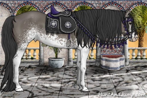 Horse Color: White Spotted Brown 