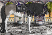 Horse Color:White Spotted Brown 
