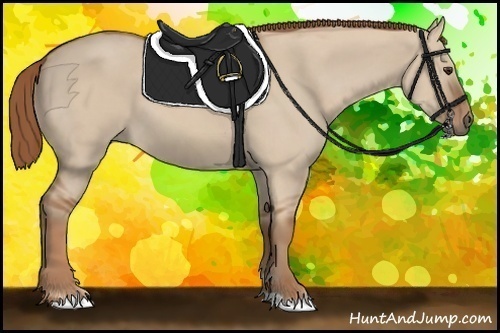 Horse Color: Red Dun 