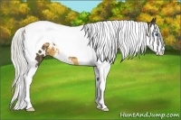 Horse Color:White Spotted Silver Smoky Black Splash Tobiano 