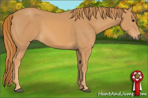 Horse Color: Chestnut Rabicano 