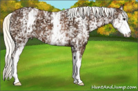 Horse Color:White Spotted Liver Chestnut Ice Mushroom 