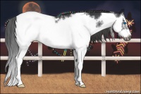 Horse Color:Black Splash Frame Snowcap 