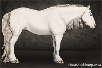 Horse Color:Smoky Creme Roan Dun 