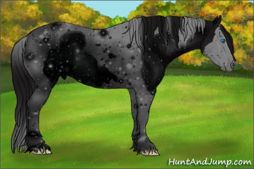 Horse Color: ERROR: UNKNOWN ANOMALY