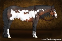 Horse Color:Brown Frame 