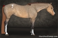 Horse Color:White Spotted Buckskin Dun Blanket 