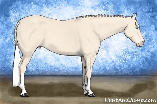 Horse Color:Silver Perlino 