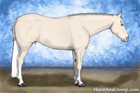 Horse Color:Silver Perlino