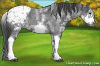 Horse Color:White Spotted Blue Roan Splash Frame Blanket 