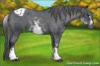 Horse Color:White Spotted Blue Roan Splash Frame Blanket