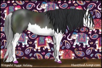 Horse Color:Black Splash 