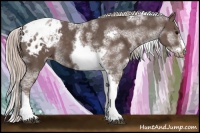 Horse Color:White Spotted Silver Black Splash Tobiano Frame Blanket 