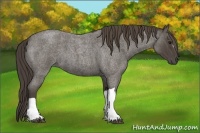 Horse Color:Smoky Blue Roan 