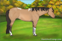 Horse Color:Bay Dun Tobiano 