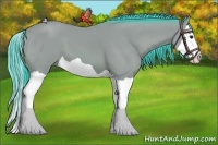 Horse Color:Watercolor Bay Splash 
